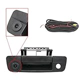 dodge ram 1500 back up vidio camera