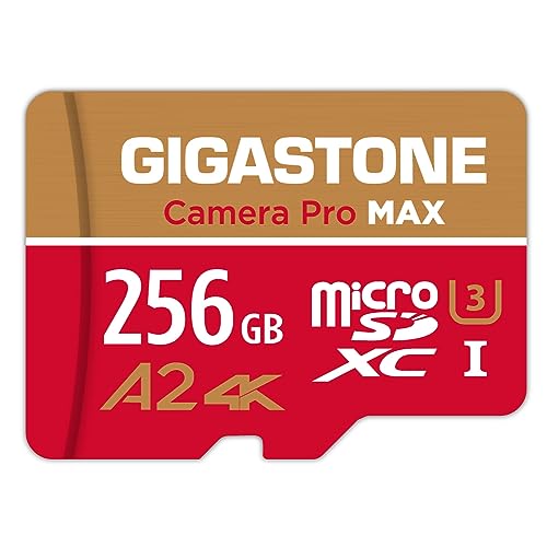 what is the best mini sd card for dash cam